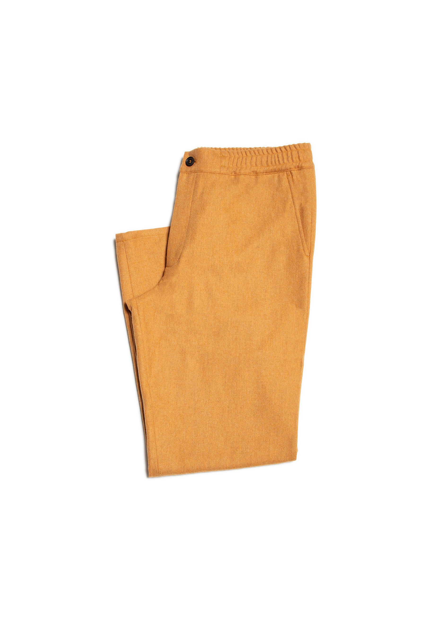 vicuna