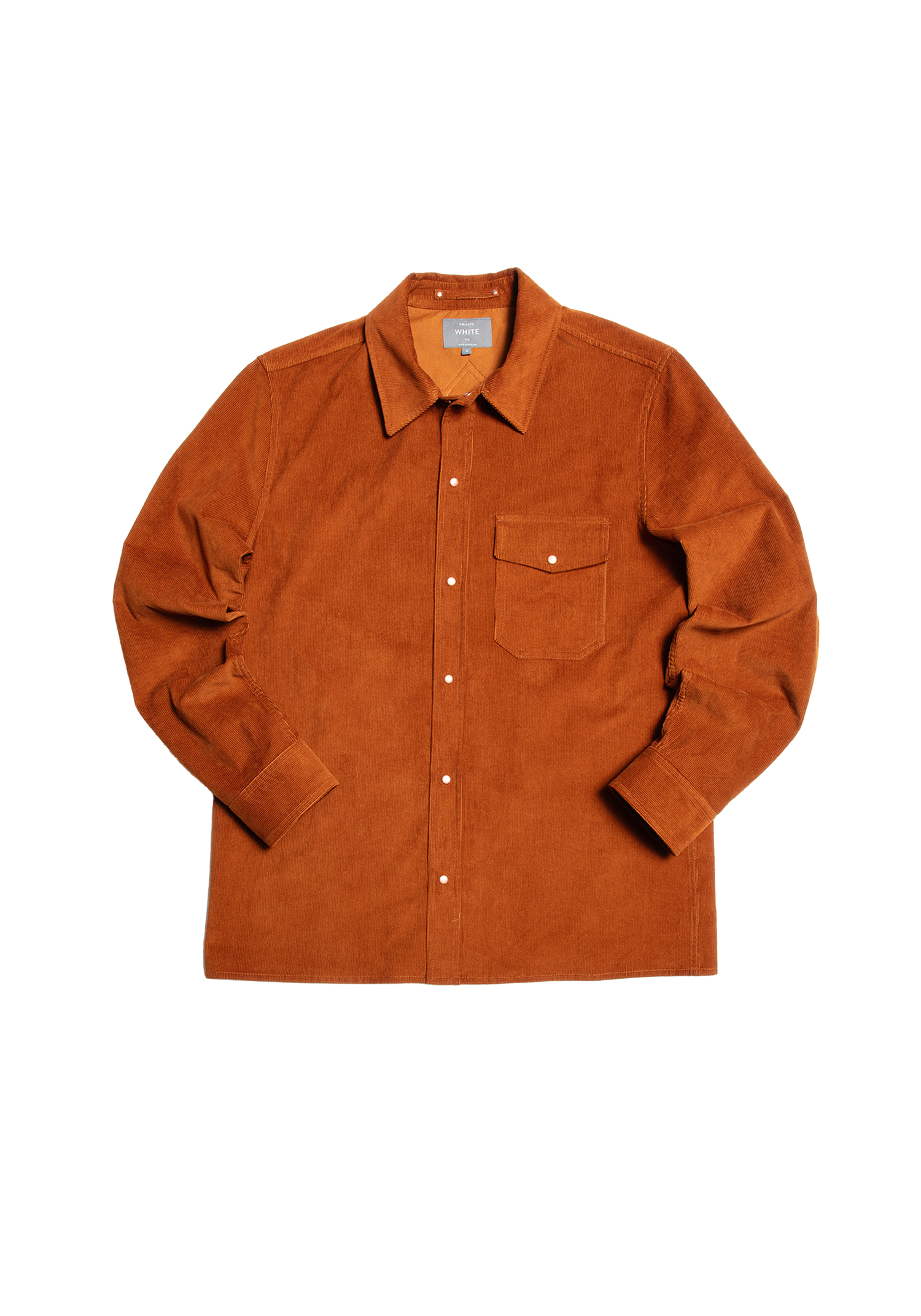 Vicuna